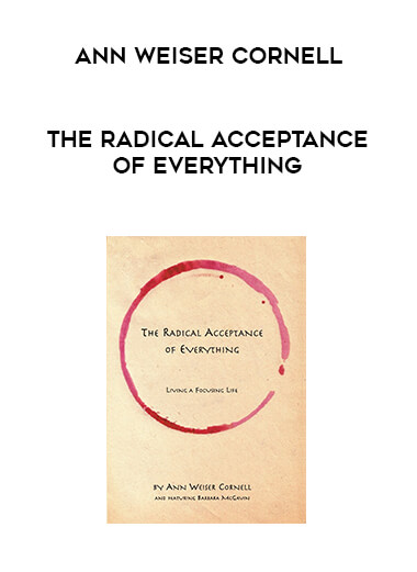 Ann Weiser Cornell - The Radical Acceptance of Everything download