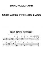 David Wallimann - SAINT JAMES INFIRMARY BLUES download
