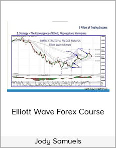 Jody Samuels - Elliott Wave Forex Course download