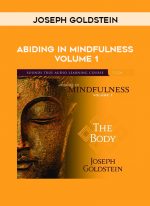 Joseph Goldstein - ABIDING IN MINDFULNESS VOLUME 1 download