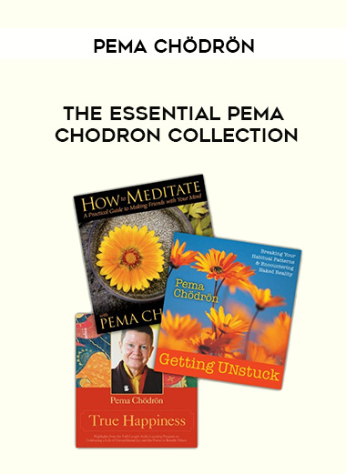 Pema Chödrön - THE ESSENTIAL PEMA CHODRON COLLECTION download