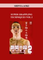 SHINYA AOKI - SUPER GRAPPLING TECHNIQUES VOL 2 download