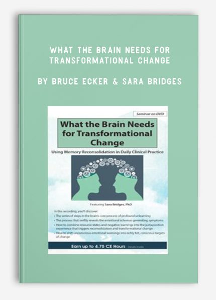 What the Brain Needs for Transformational Change download