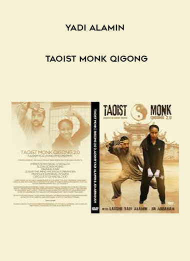 Yadi Alamin - Taoist Monk QIGong download