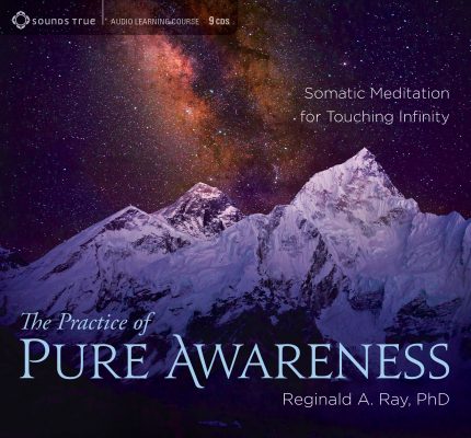 Reginald A. Ray - THE PRACTICE OF PURE AWARENESS download