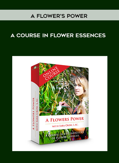 A Flower's Power: A Course In Flower Essences download