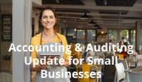 Accounting & Auditing Update for Small Businesses download