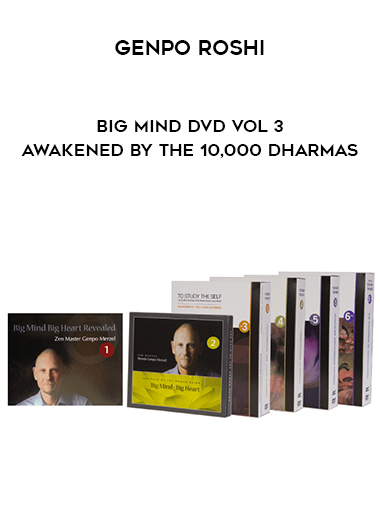 Genpo Roshi - Big Mind DVD Vol 3 - Awakened by the 10