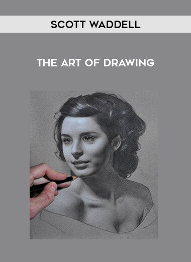 Scott Waddell - The Art of Drawing download