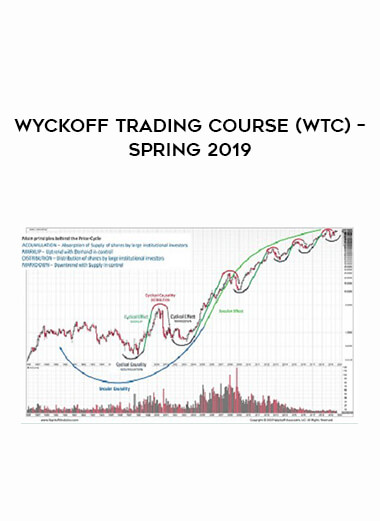 WYCKOFF TRADING COURSE (WTC) – SPRING 2019 download