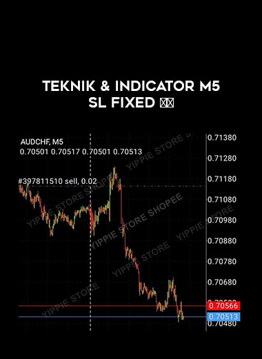 TEKNIK & INDICATOR M5 SL FIXED download
