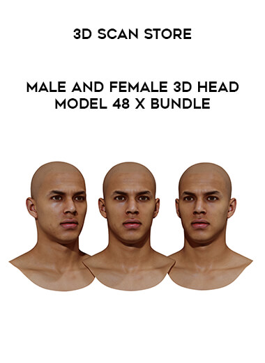Male and Female 3D Head Model 48 x Bundle - 3D Scan Store download