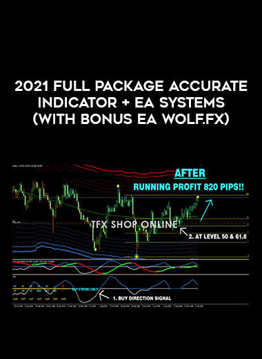 2021 FULL PACKAGE ACCURATE INDICATOR + EA SYSTEMS️( WITH BONUS EA WOLF.Fx) download