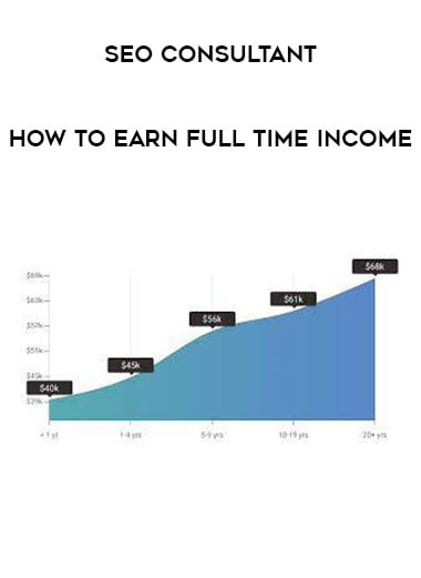 SEO Consultant - How to Earn Full Time Income download